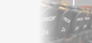Precor Weights