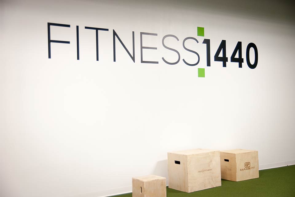Fitness 1440 gym plyo boxes