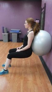 Fitness 1440 Stability Ball Wall Sits