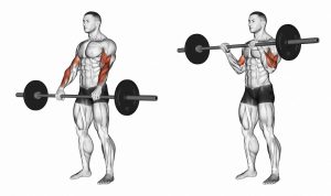 reverse curls with bar